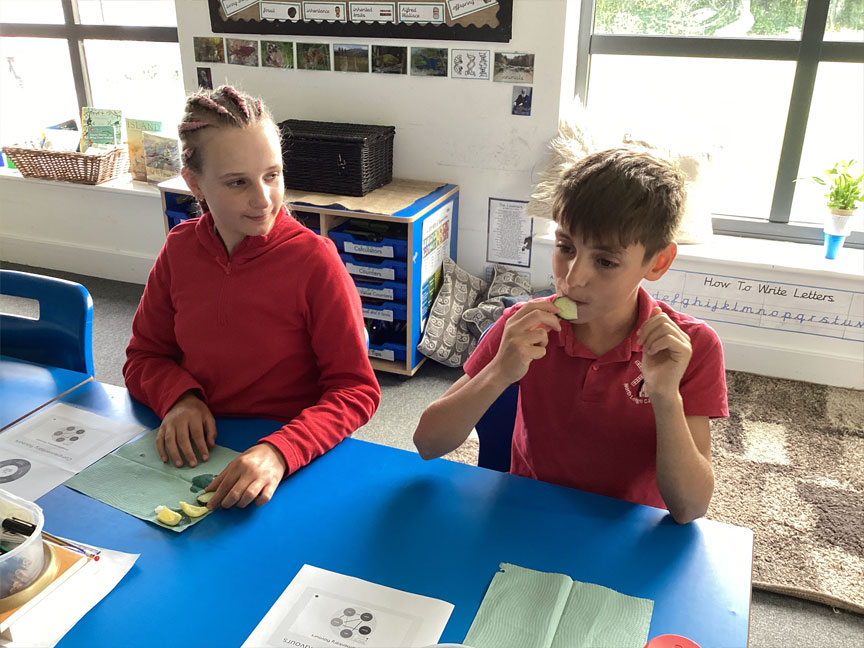North Leigh C of E Primary School