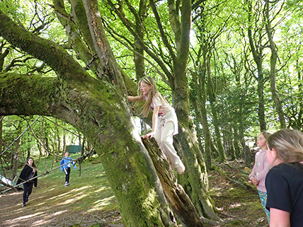 North Leigh C of E Primary School