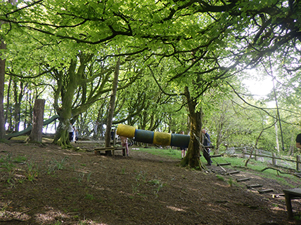 North Leigh C of E Primary School